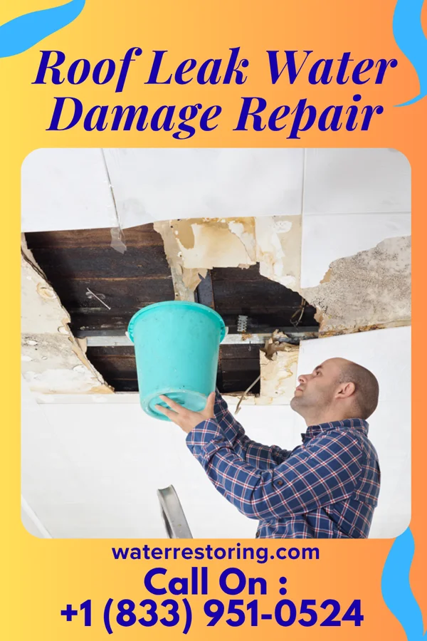 Roof Leak Water Damage Repair in Oakesdale, WA